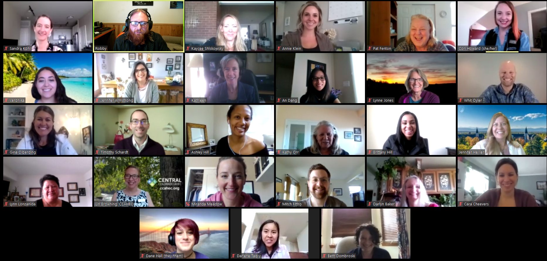 THEARI Team Planning for the Future (2020)